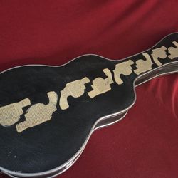 Custom Hidden Police Special Guitar Case