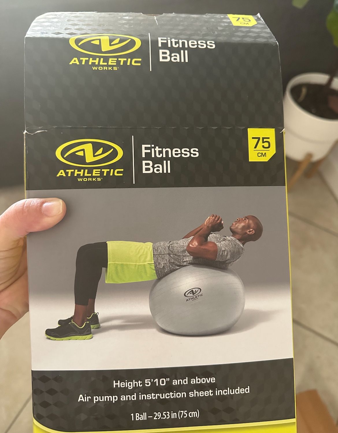 Fitness Ball With pump