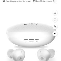 Hearing Aid