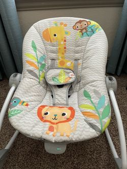 Baby Bounce Chair