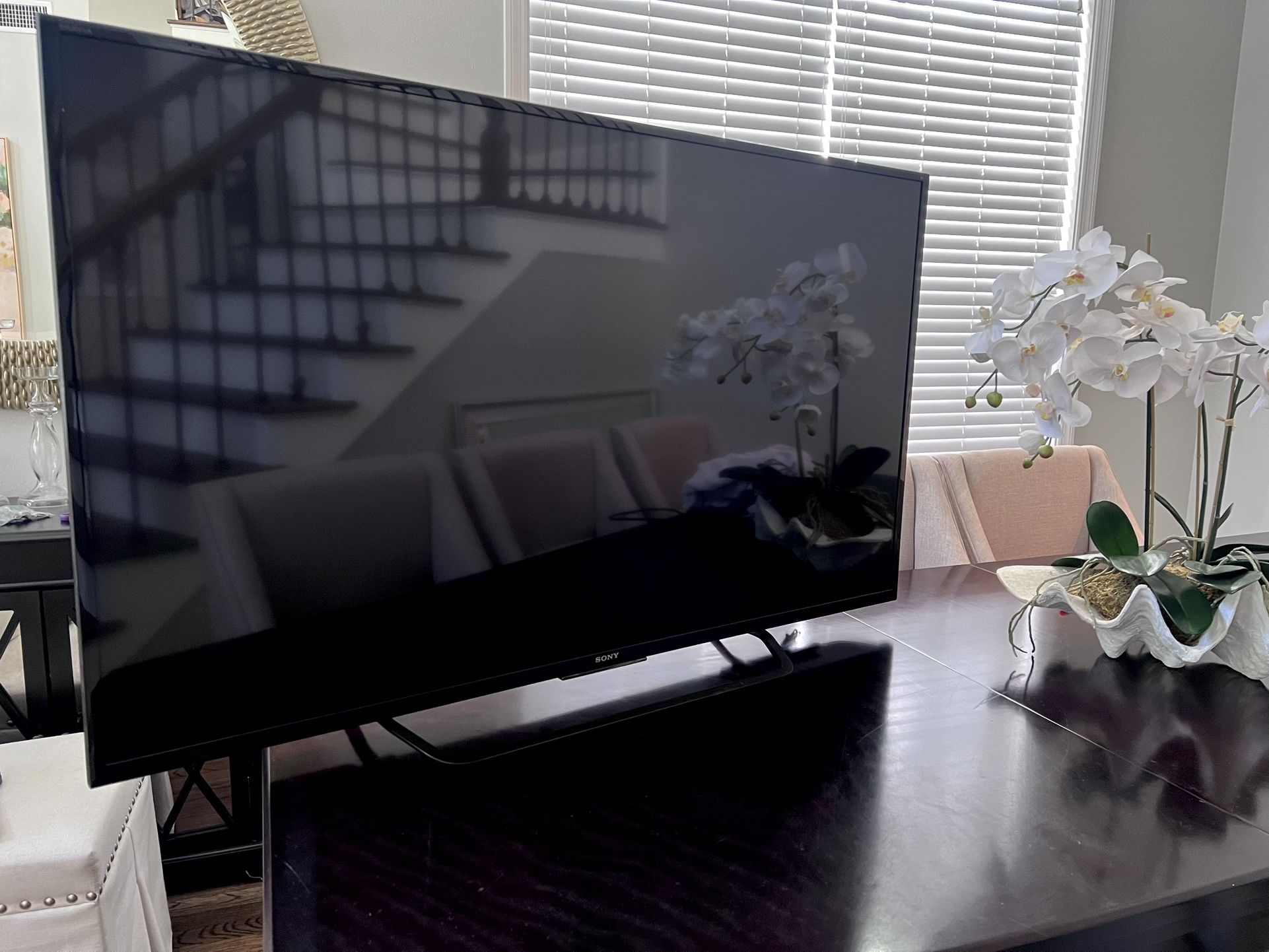 Sony Bravia 55in