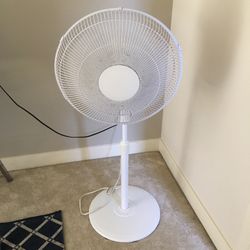 Nice Lasco Fan
