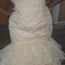 Wedding Dress Gown BRAND NEW 