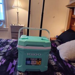 Igloo Latitude 16 Ruler 16 Quarts 24 Cans And 15 L