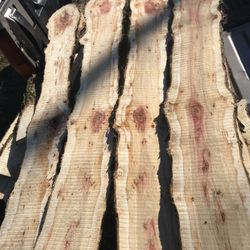 Flame Elder Live Edge Boards