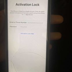 iPhone 11 & Apple Watch SE