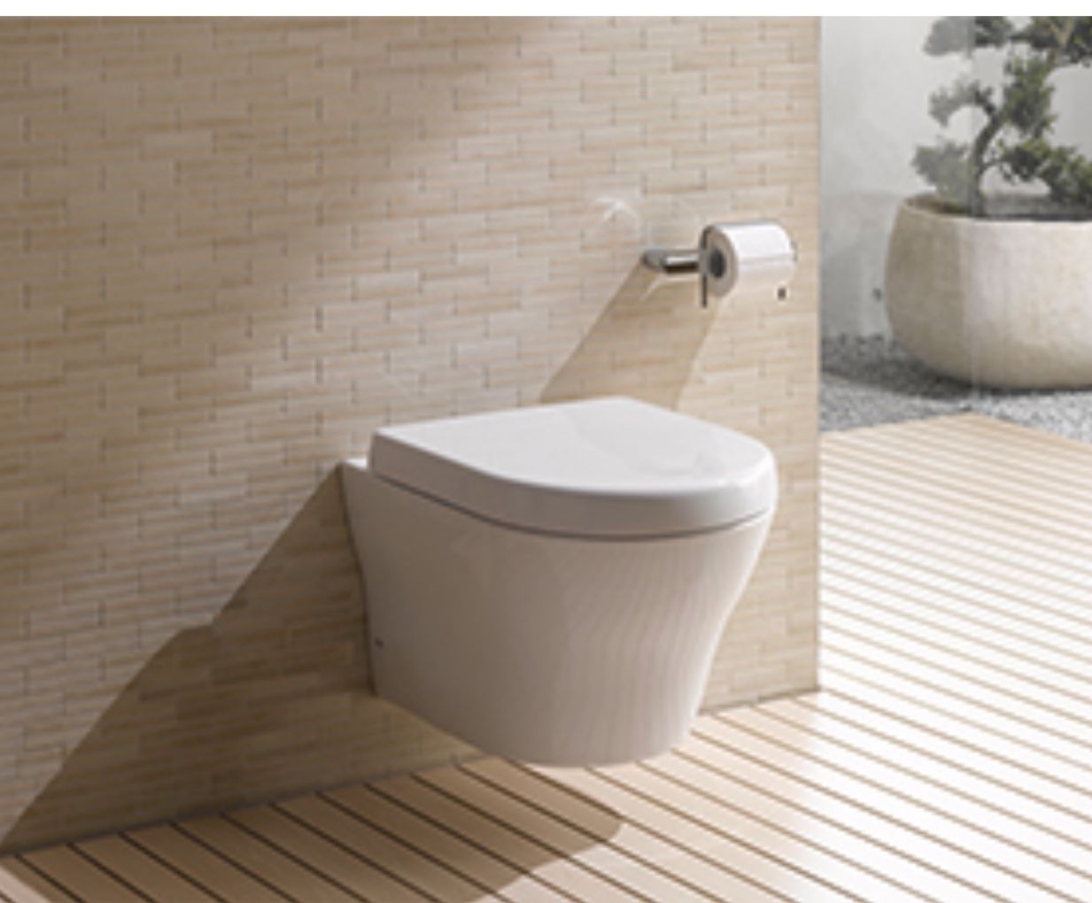 Toto Wall Toilet Bowl