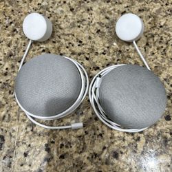 2 Google Home Minis
