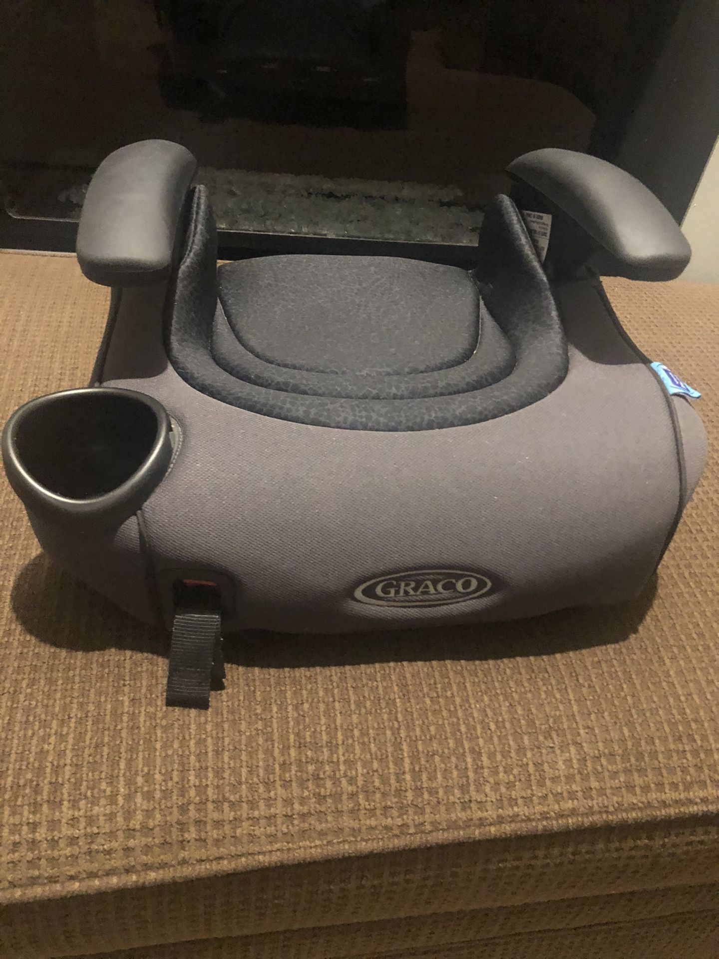 Booster Car Seat (Graco Turbobooster