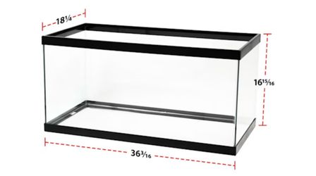 40 gallons tank and stand