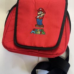 Nintendo DS Carry Bag