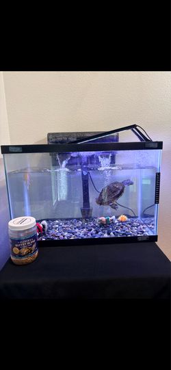 Aquatic Turtle with Tank and filter