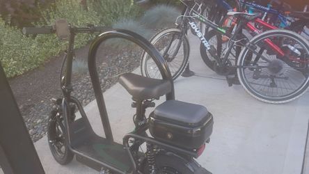Adult scooter