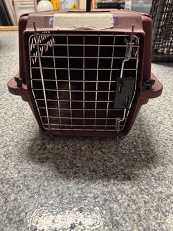 Small pet carrier