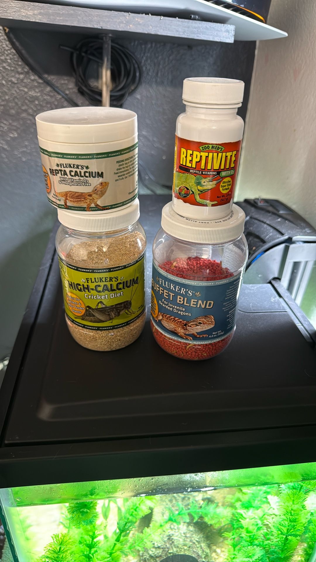 Free Reptiles Accessories
