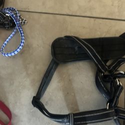 Large Dog Harness 