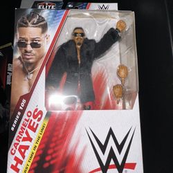 Wwe Toy