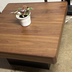 Wood Coffee Table