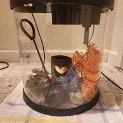 Fish Tank