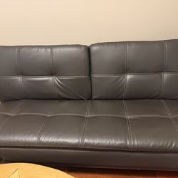 Leather Loveseat Futon