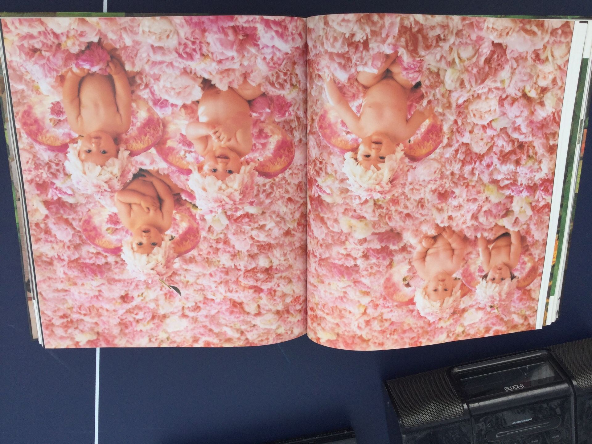 ANNE GEDDES BOOK AN AUTOBIOGRAPHY A Labor of Love