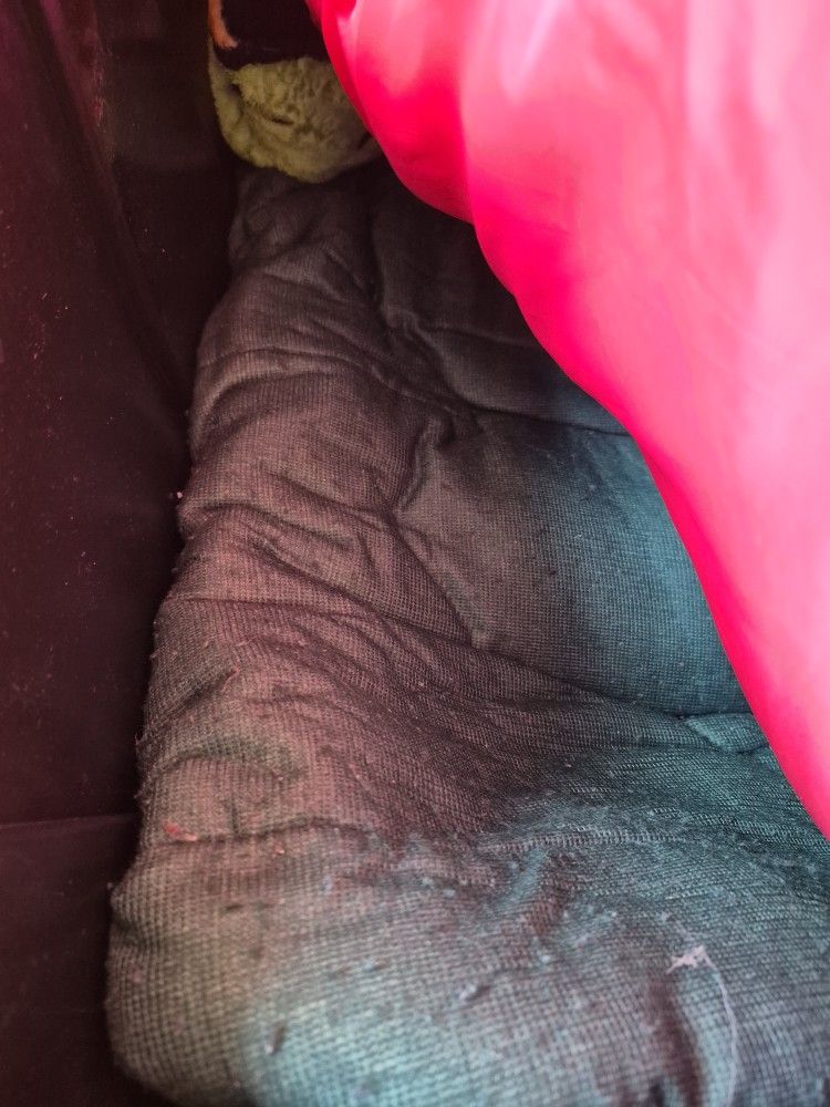 Sleeping Bags Camping