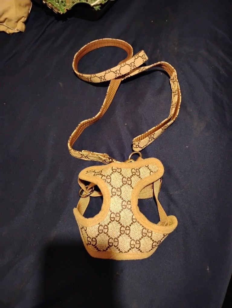 Small Gucci Dog Harness W/Lease