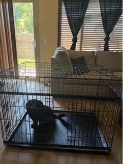 Animal Large Crate