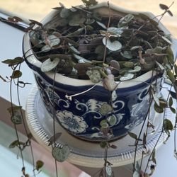String Of Hearts