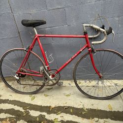 Vintage Classic Steel Nishiki Road bike Suntour Cyclone 56cm