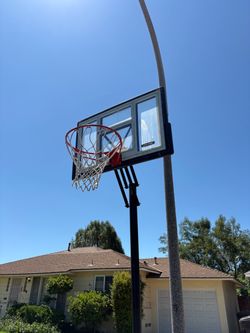 Lifetime basketball hoop