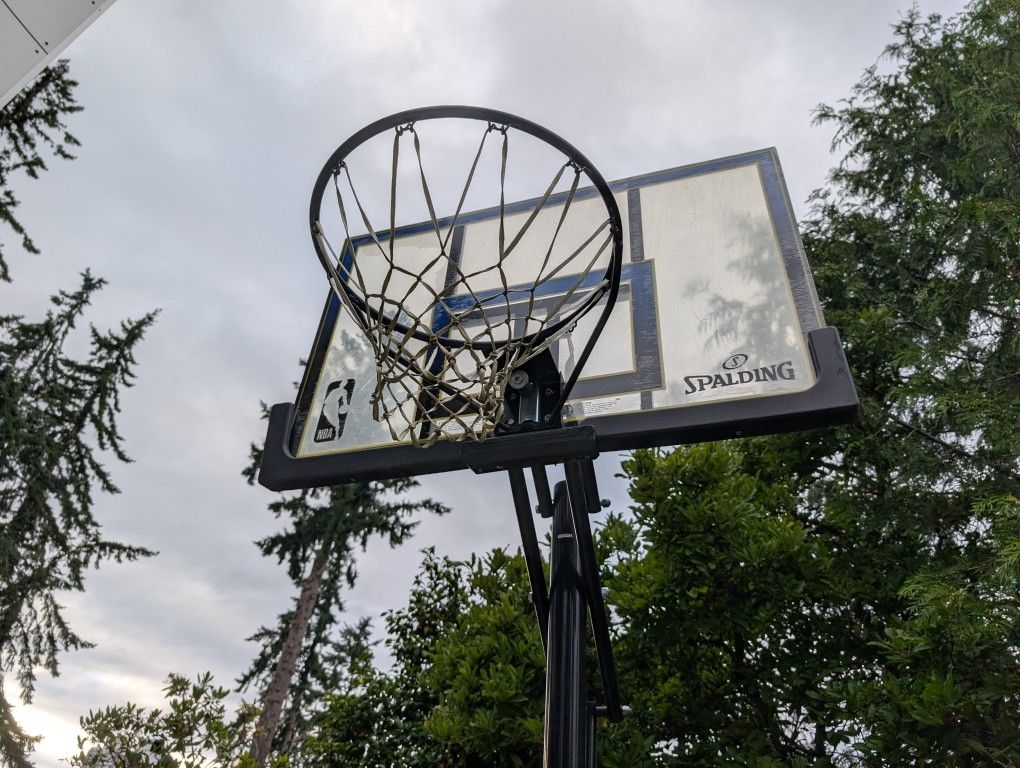 Basketball Hoop / Spalding