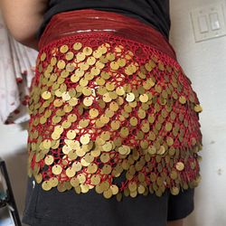 Coin Hip Scarf, Belly Dance, Gypsy Skirt.
