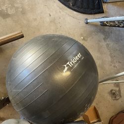 Workout Ball