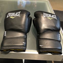 Everlasting Boxing Gloves 