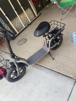 Electric Adult Scooter