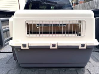 Essentials Plastic Pet Carrier