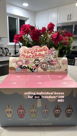 Exciting Macaron Labubu