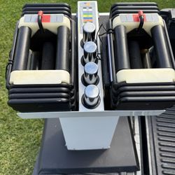 PowerBlock Elite Adjustable Dumbbell Set With Stand- Expandable 