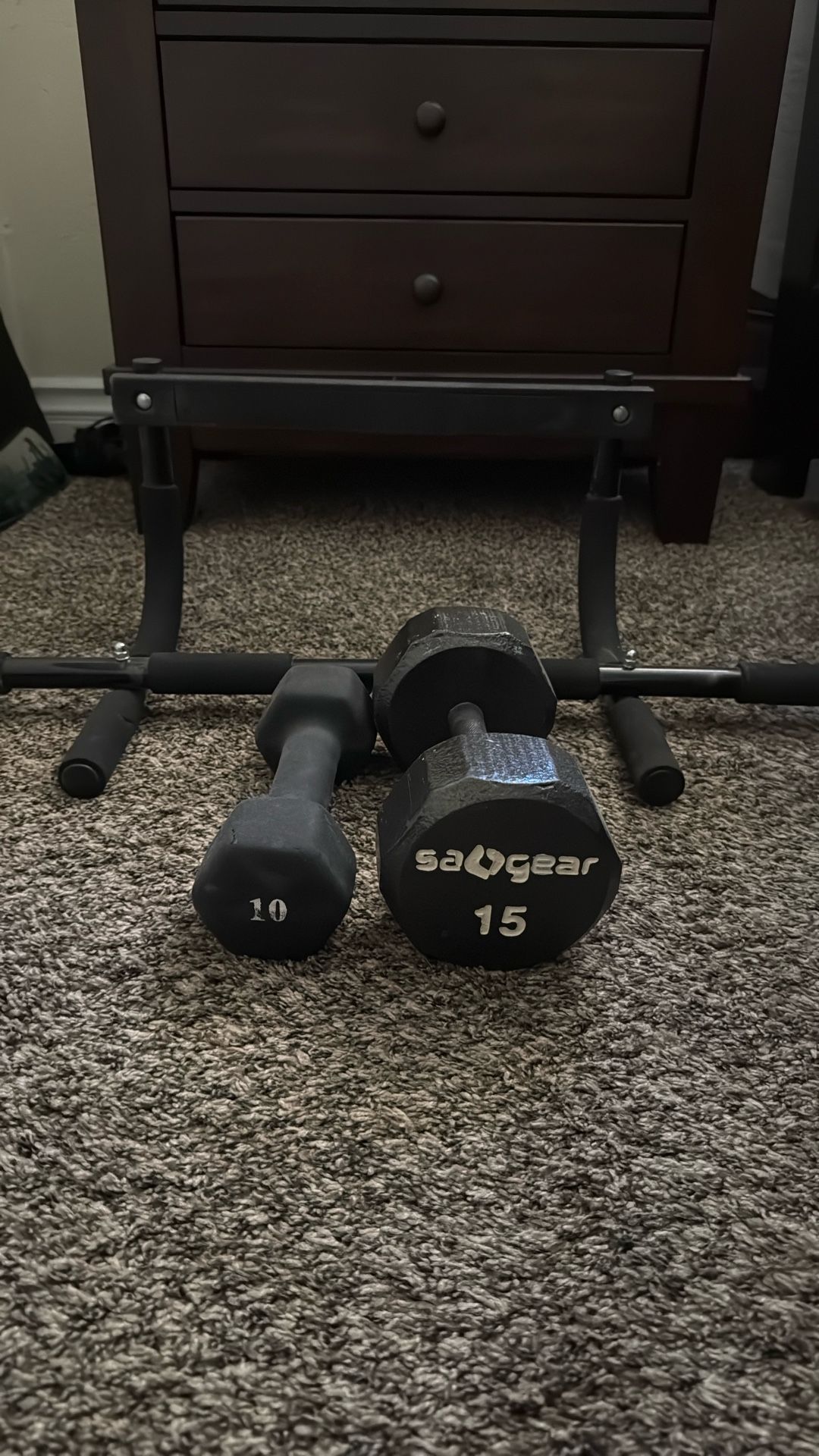 Pull Up Bar 10 Pound Weight And 15 Pound Weight
