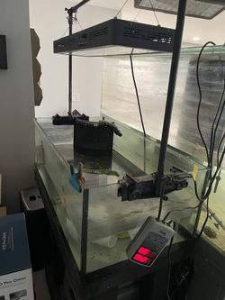 65 Gallons Frag Aquarium