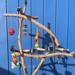 Simple Parrot Perch … Two Levels, Custom Made Of Hard Durable Ribbon Wood 🪵 !!