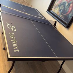 Ping-Pong Table Eastpoint