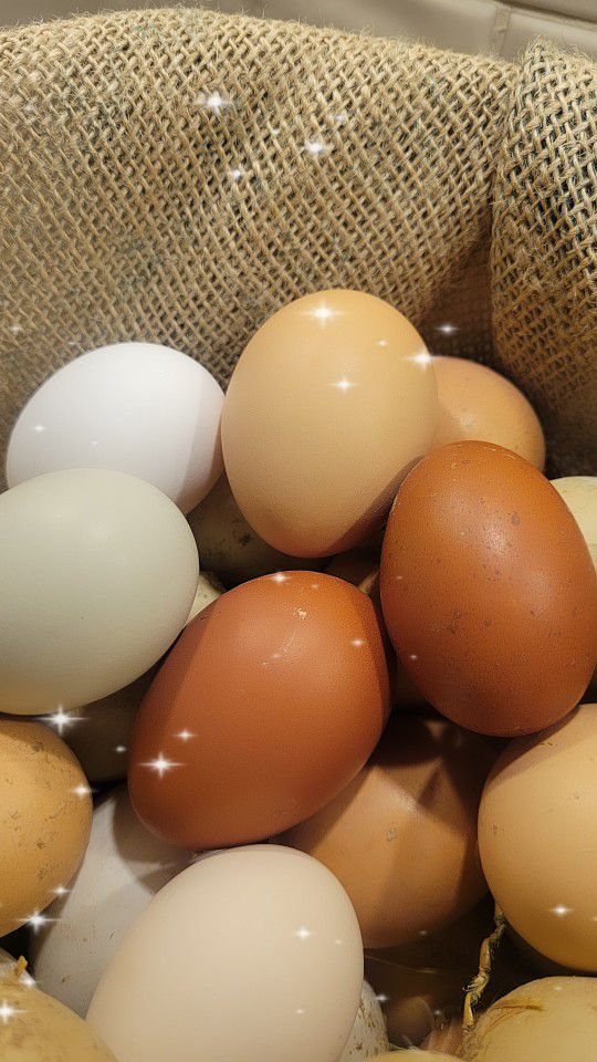 Farm Fresh Eggs For Easter