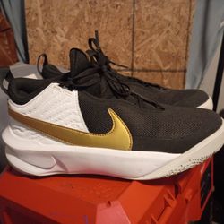 Nikes And Coach