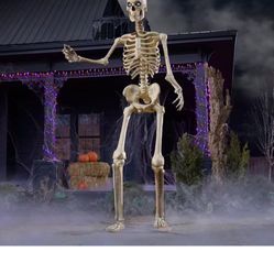 12 Foot Skeleton 