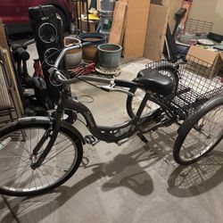Schwinn Tricycle Adult Sized