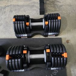 Nordic Track Adjustable Dumbbells 