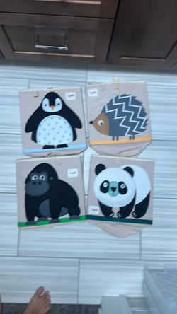 3 sprouts storage boxes