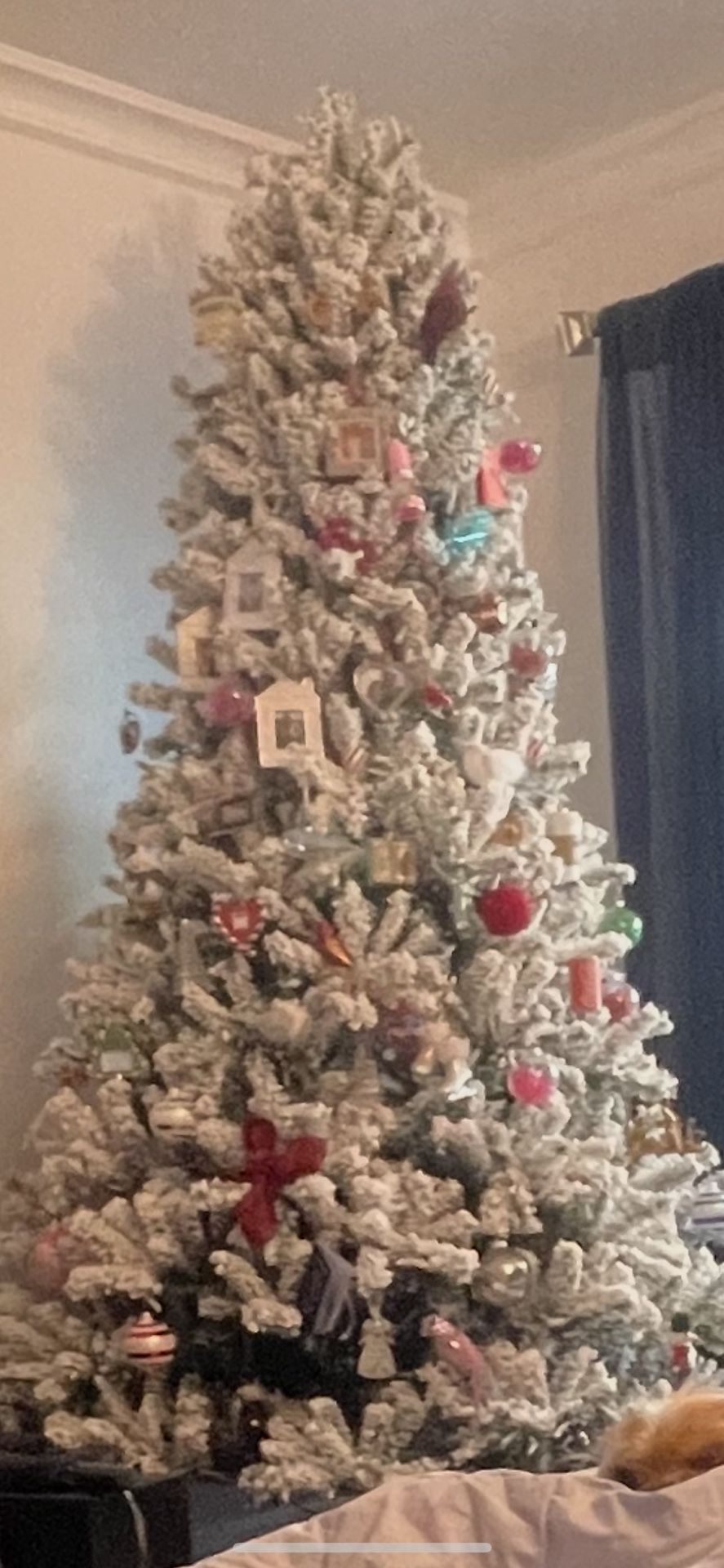 Christmas Tree $200 From Home Depot